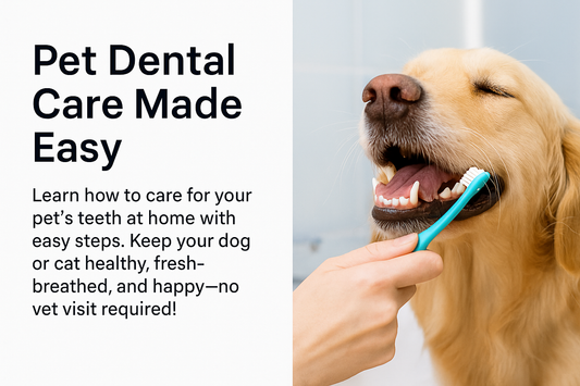 Pet Dental Care Made Easy: Keep Your Dog or Cat's Teeth Healthy at Home