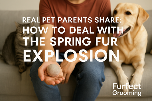 “Real Pet Parents Share: How to Deal with the Spring Fur Explosion”