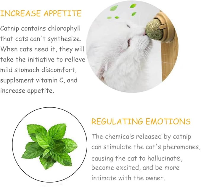 Oncpcare 4 Pack Catnip Balls, Natural Mint Leaf Catnip Ball for Cats Wall Cat Nip Cat Treats Magic Toy for Kitten Kitty Playing Chewing