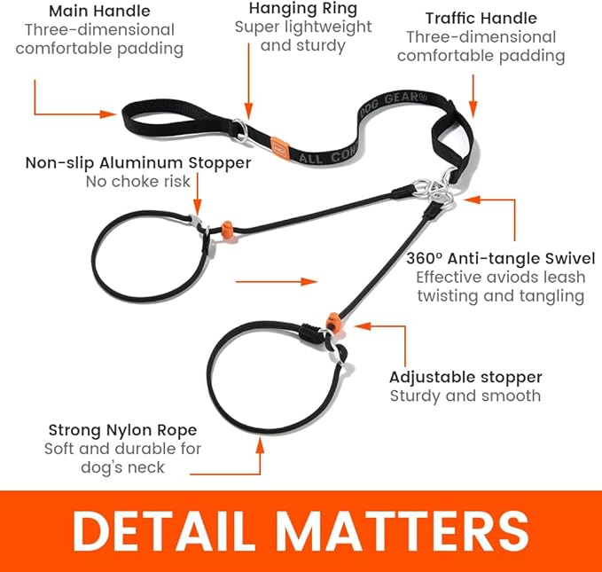 Howgo Double Slip Leash Slip Lead with Two Handles| Dual Dog Slip Lead for 2 Dogs,360° Swivel No Tangle | Dog Training Collar | Double Clip Leash Coupler and Splitter (MintGreen, 6FT)