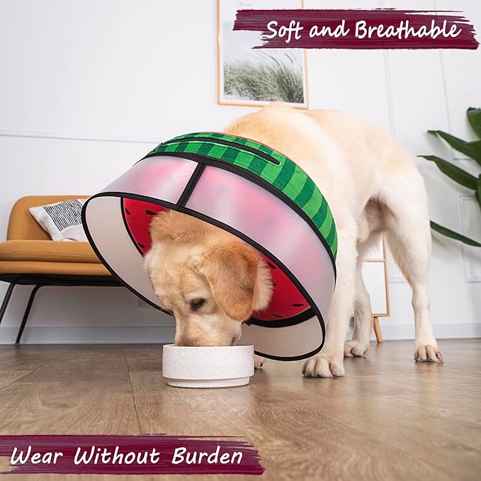 Inflatable Dog Cone Collar with Enhanced Anti-Licking, Soft Neck Donut for Dogs Cats, Recovery Pet Cone Collar After Surgery for Large Medium Small Dogs… (Watermelon, Small)