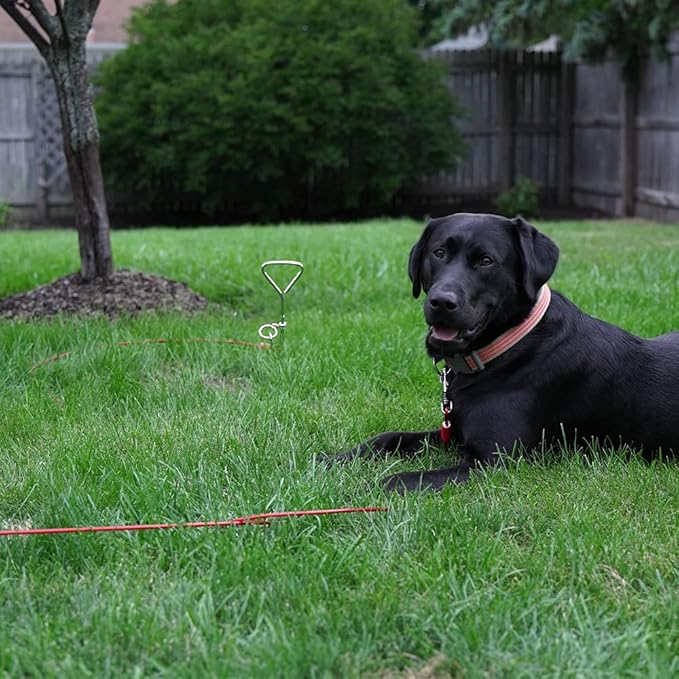BV Dog Tie Out Cable 30 Feet - Heavy Duty Dog Lead Up to 125 Pounds - Reflective & Rust-Free with Quick Release Swivel Clips & 360° Rotating Clasp - Tangle-Free Dogs Runner for Yard (Red, Single)
