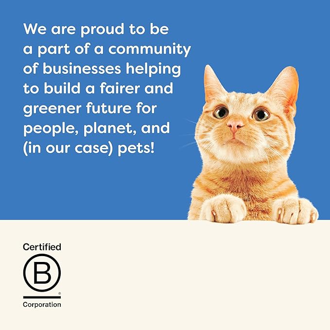 Applaws Natural Wet Cat Food in Broth, Limited Ingredient Canned Wet Cat Food, No Additives, Made with Natural Ingredients, Fish Selection in Broth (36 x 2.47oz Cans)