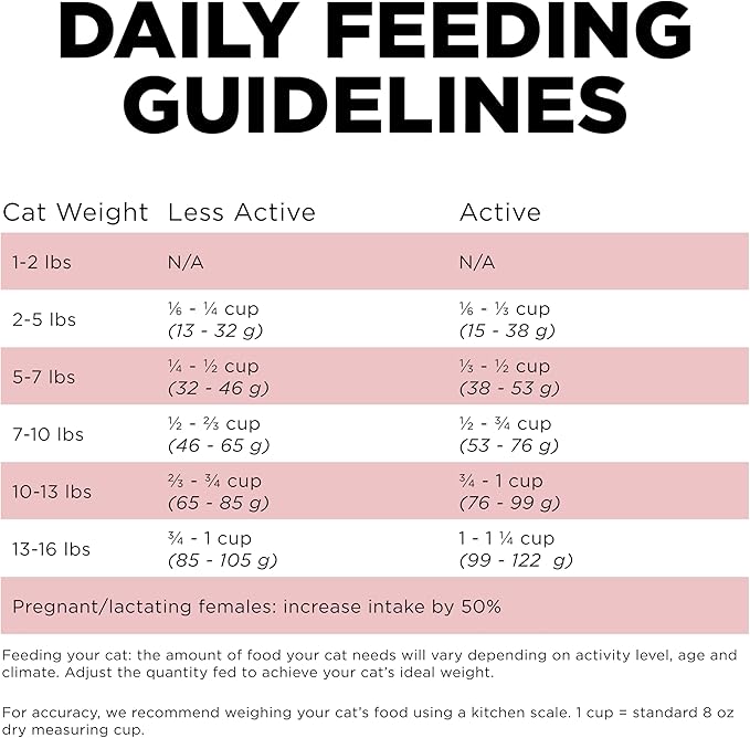 Go! Solutions Sensitivities Limited Ingredient, Grain-Free Dry Cat Food, Salmon Recipe for Sensitive Stomach, 3 lb Bag