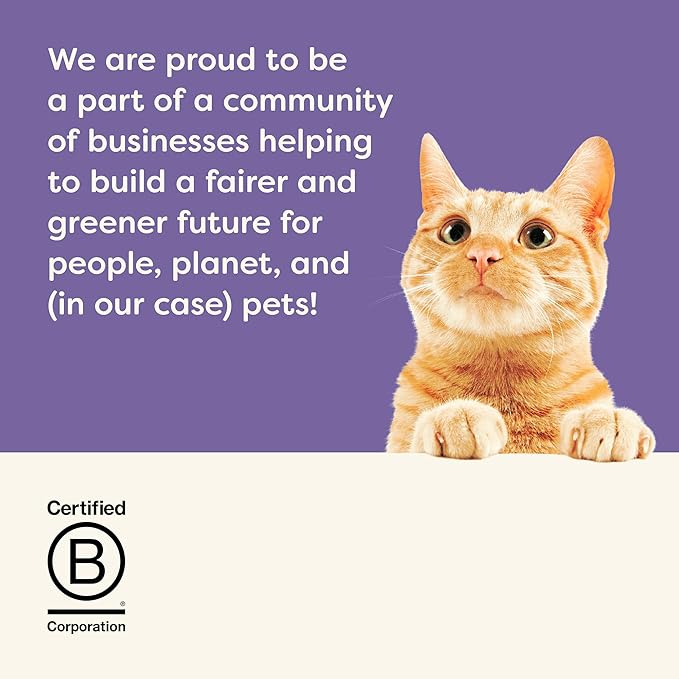 Applaws Natural Wet Cat Food in Gravy, Limited Ingredient Canned Wet Cat Food, No Additives, Made with Natural Ingredients, Variety Selection in Gravy Cans (24 x 2.47oz Cans)