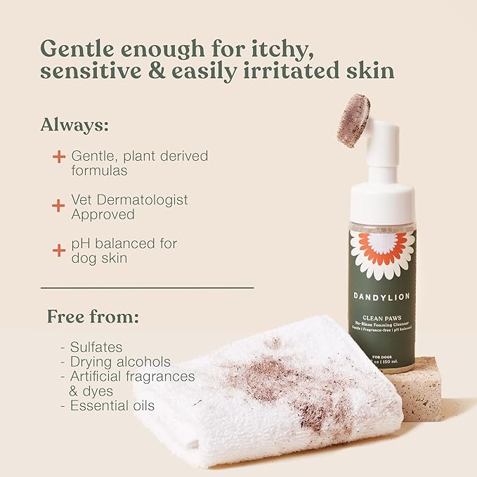 Dandylion Clean Paws Value Set – No‑Rinse Foaming Paw Cleaner with Built‑in Brush + 10 fl oz Refill