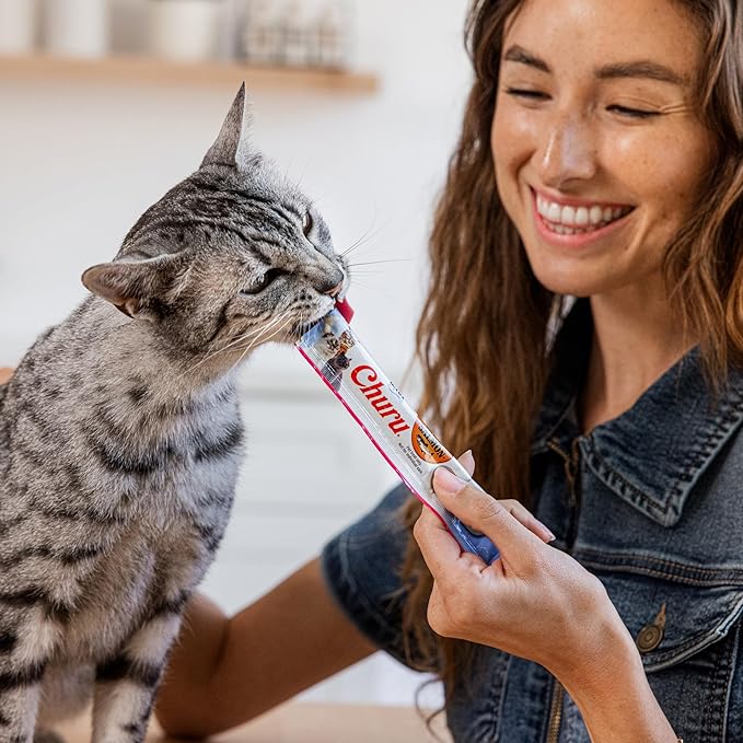 INABA Salmon Churu Cat Treats, Lickable, Squeezable Creamy Purée Cat Treat with Green Tea Extract & Taurine, 0.5 Ounces Each Tube, 10 Tubes, Scallop & Chicken Variety
