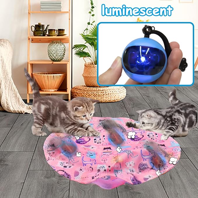 Mity Rain Interactive Cat Toy - Ball for Indoor Jumping and Rolling in Pouch, Hide and Seek Mat for Self Play, Boredom Relief and Activating Natural Hunting Instincts - Kitten Toys