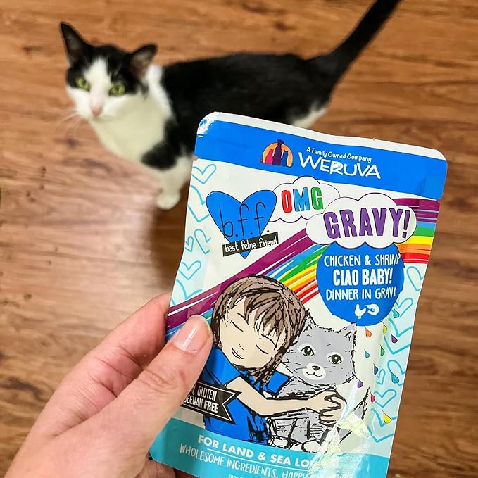 Weruva B.F.F. OMG - Best Feline Friend Oh My Gravy!, Variety Pack, Potluck O' Pouches, Wet Cat Food, 2.8Oz Pouches (Pack of 12)