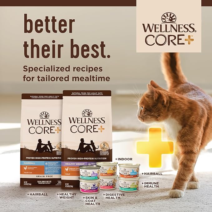 Wellness CORE+ Digestive Health Pate Adult Wet Cat Food, Natural, Protein-Rich, Grain Free, 3 Ounce, 12 Pack (Chicken)
