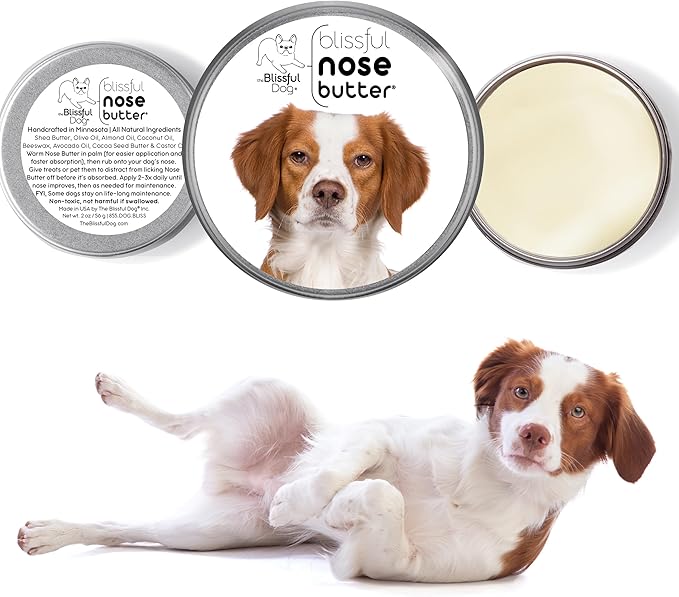 The Blissful Dog Brittany Spaniel Nose Butter for Dry, Cracked Skin, Lick-Safe Dog Nose Balm with Moisturizing Shea Butter, Almond, Olive, and Essential Oils, Pet Supplies, Uncented, 8 oz.