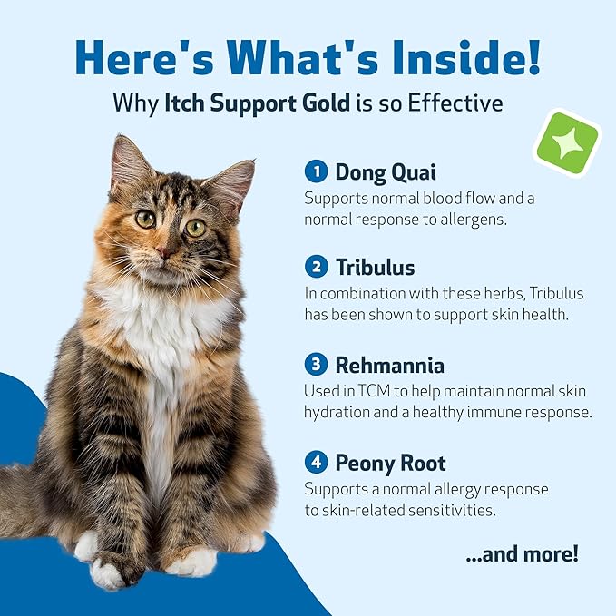 Pet Wellbeing Itch Support Gold for Cats - Occasional Itching, Scratching, and Hot Spots, Environmental and Seasonal Allergies, Dong Quai - Veterinarian-Formulated Herbal Supplement 2 oz (59 ml)
