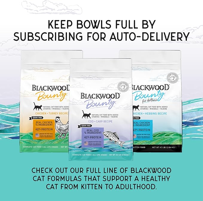 Blackwood Bounty Dry Cat Food, Cod & Carp Recipe for All Life Stages, 4.5 Pound Bag, High Protein, Grain Free