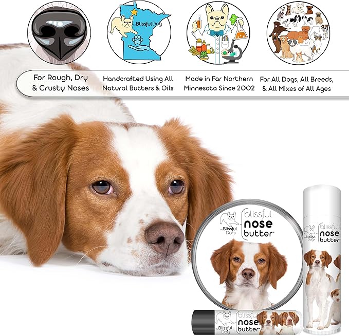 The Blissful Dog Brittany Spaniel Nose Butter for Dry, Cracked Skin, Lick-Safe Dog Nose Balm with Moisturizing Shea Butter, Almond, Olive, and Essential Oils, Pet Supplies, Uncented, 8 oz.