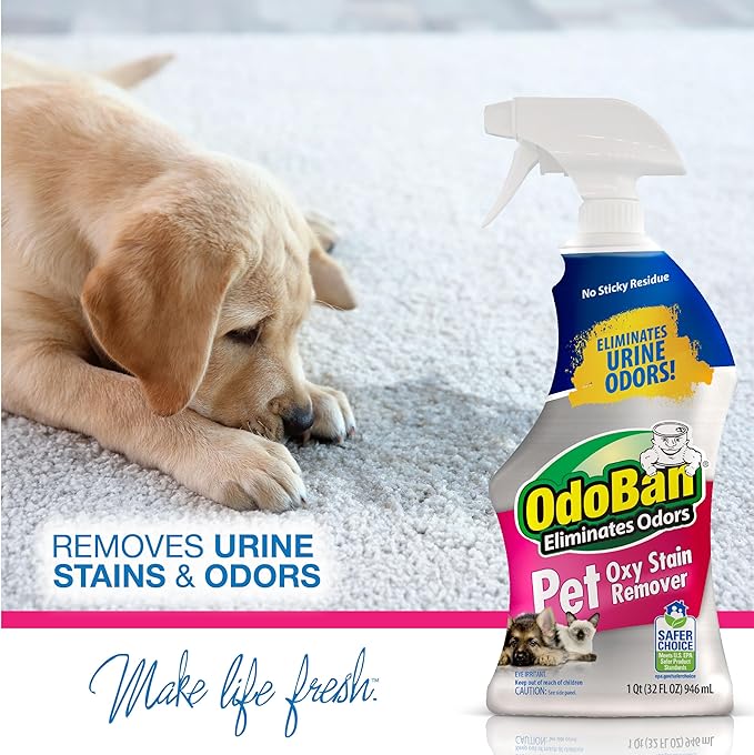 OdoBan Pet Solutions Oxy Stain Remover, Pet Stain Eliminator, Made in the USA, 4-Pack, 32 Ounce Spray Each