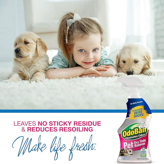 OdoBan Pet Solutions Oxy Stain Remover, Pet Stain Eliminator, Made in the USA, 8-Pack, 32 Ounce Spray Each