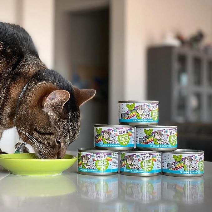 Weruva B.F.F. OMG - Best Feline Friend Oh My Gravy!, Tuna & Duck Dilly Dally with Tuna & Duck, 5.5oz Can (Pack of 8)