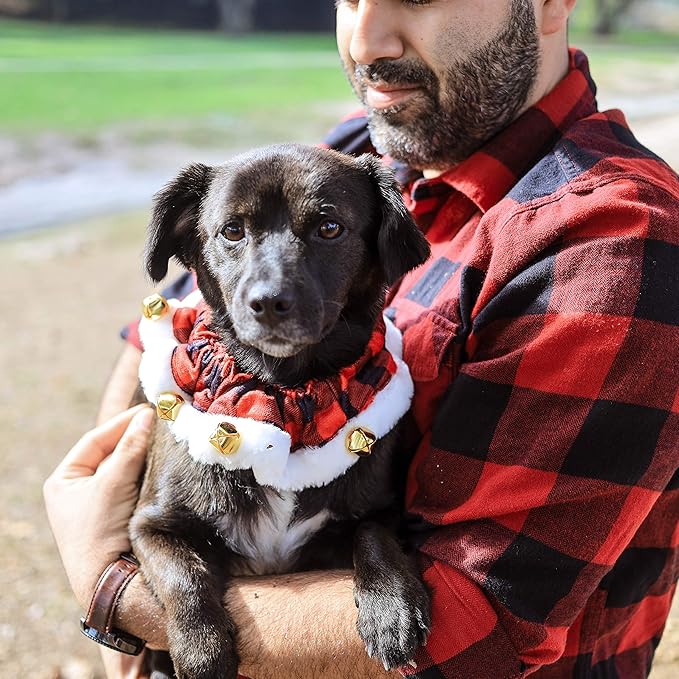 Huxley & Kent Ruff Pet Scrunchy | Buffalo Check (Small) | Festive Christmas/Holiday Neckwear for Dogs/Cats | Fun Stretchable Costume Accessory | Soft Collar with Bells