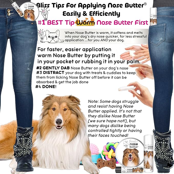 The Blissful Dog Collie Nose Butter for Dry, Cracked Skin, Lick-Safe Dog Nose Balm with Moisturizing Shea Butter, Almond, Olive, and Essential Oils, Pet Supplies, Uncented, 2 oz.