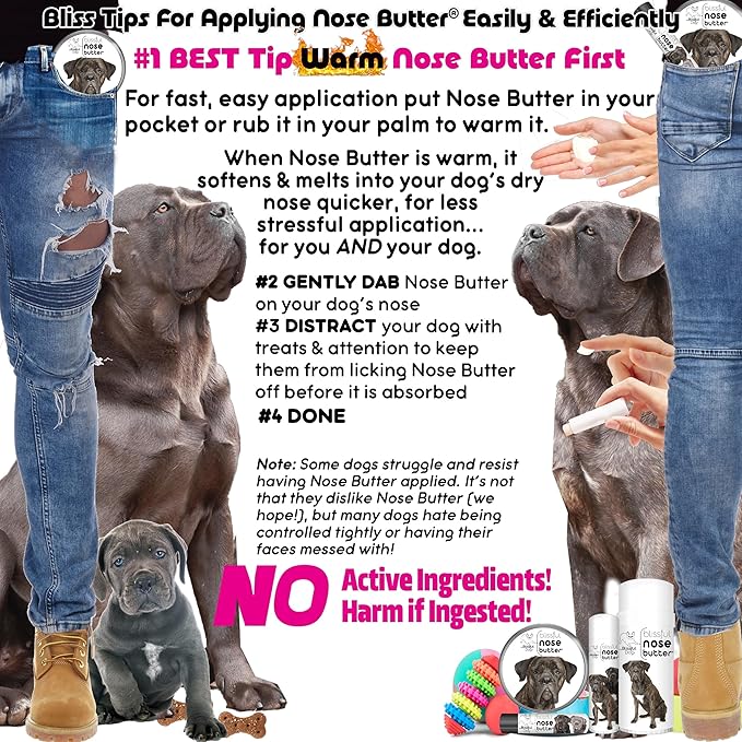 The Blissful Dog Cane Corso Nose Butter for Dry, Cracked Skin, Lick-Safe Dog Nose Balm with Moisturizing Shea Butter, Almond, Olive, and Essential Oils, Pet Supplies, Uncented, 1 oz.