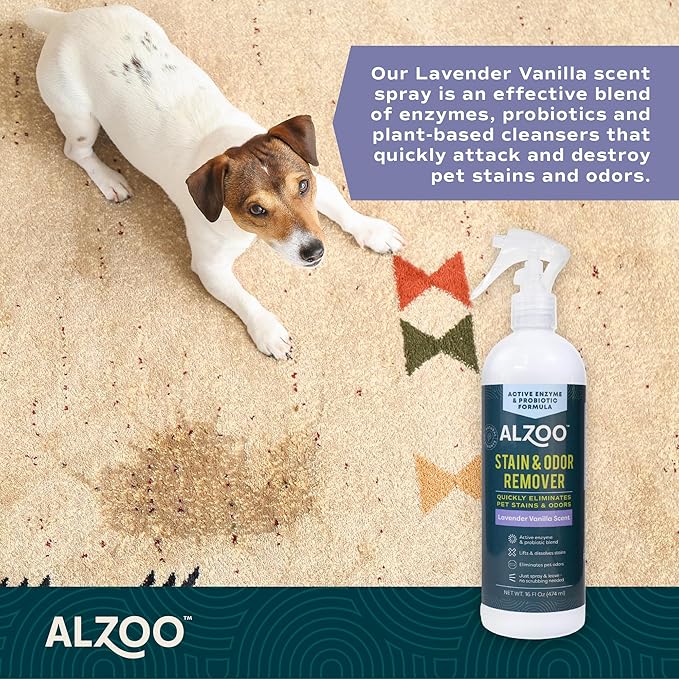 Stain & Odor Remover, Quickly Lifts & Dissolves Pet Stains & Helps Eliminate Odors, 100% Plant-Based Active Ingredients, Lavender Vanilla Scent, 16 Fl. Oz Spray Bottle