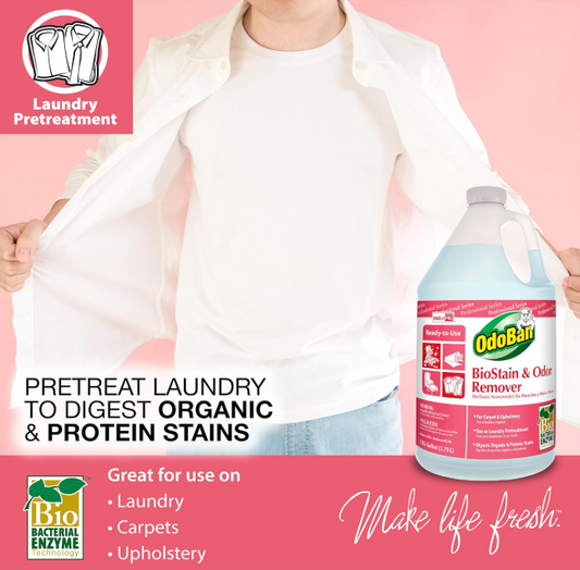 The Ultimate Pet & Home Odor Solution: Why U.S. Pet Owners Love OdoBan Ready-to-Use Biostain & Odor Remover