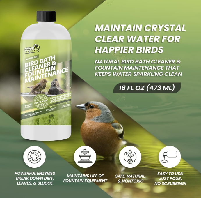 Keep Your Bird Bath Clear & Clean: Safe Fountain Cleaner for Birds