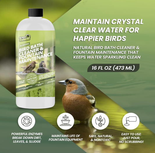 Keep Your Bird Bath Clear & Clean: Safe Fountain Cleaner for Birds