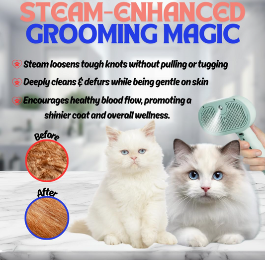 Why U.S. Pet Owners Love This 3-in-1 Steam Brush for Easy Dog & Cat Grooming