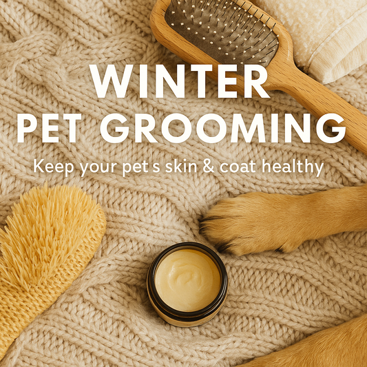Winter Grooming Guide: How to Keep Your Pet’s Skin Healthy and Fur Happy in Cold Weather