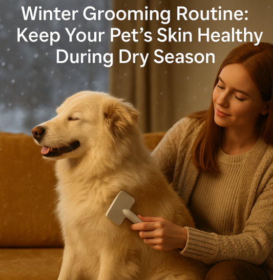 👉 Winter Grooming Routine: Keep Your Pet’s Skin Healthy During Dry Season
