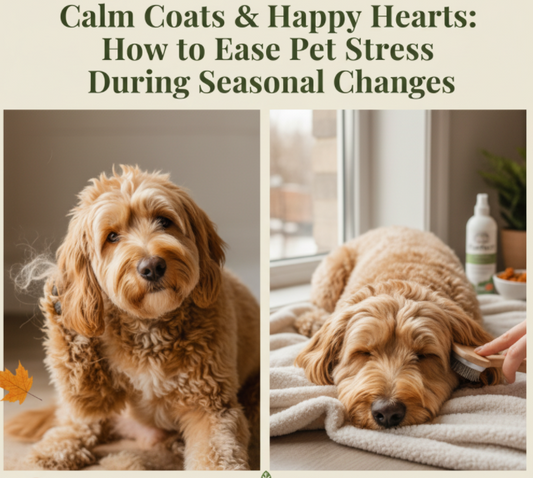 Calm Coats & Happy Hearts: How to Ease Pet Stress During Seasonal Changes