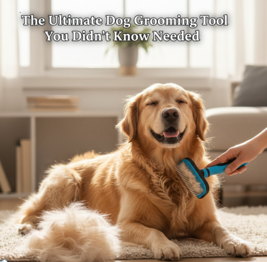 Why Every Dog Owner Needs the MalsiPree 2-in-1 Brush: The Secret to a Healthier, Happier Coat