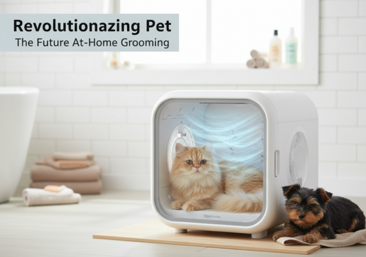 Ultimate Home Pet Dryer: How the HomeRunPet 360° Smart Box Redefines Grooming Comfort