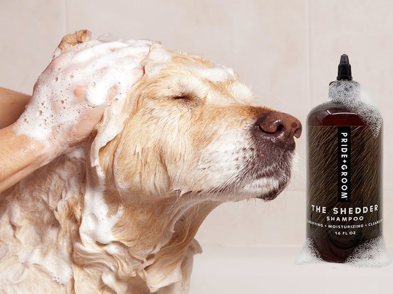 Grooming Supplements