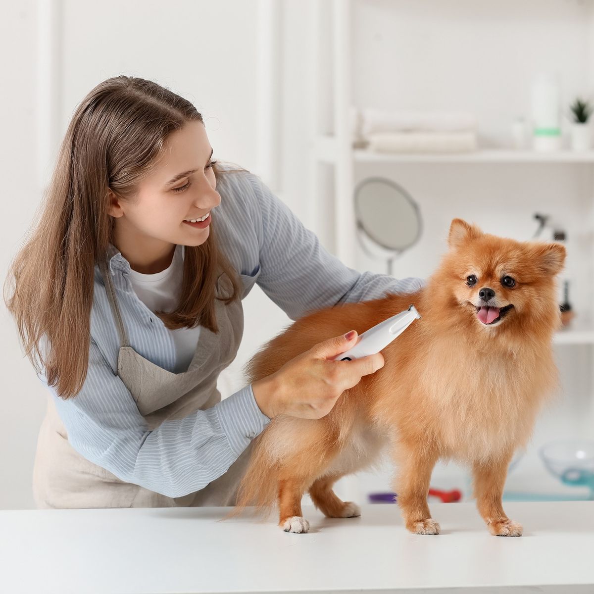 Grooming Tables & Clippers