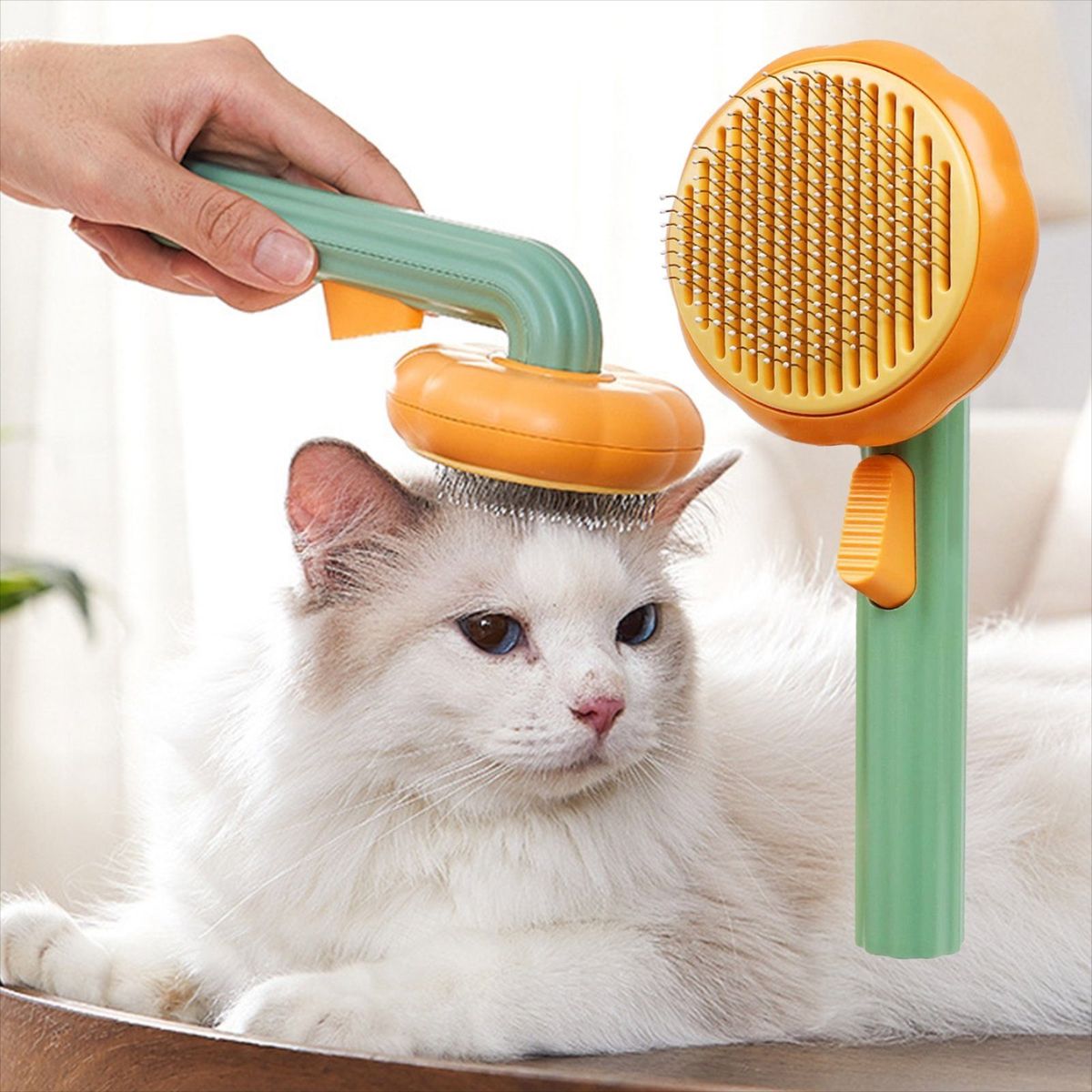 Grooming Tools for Cats