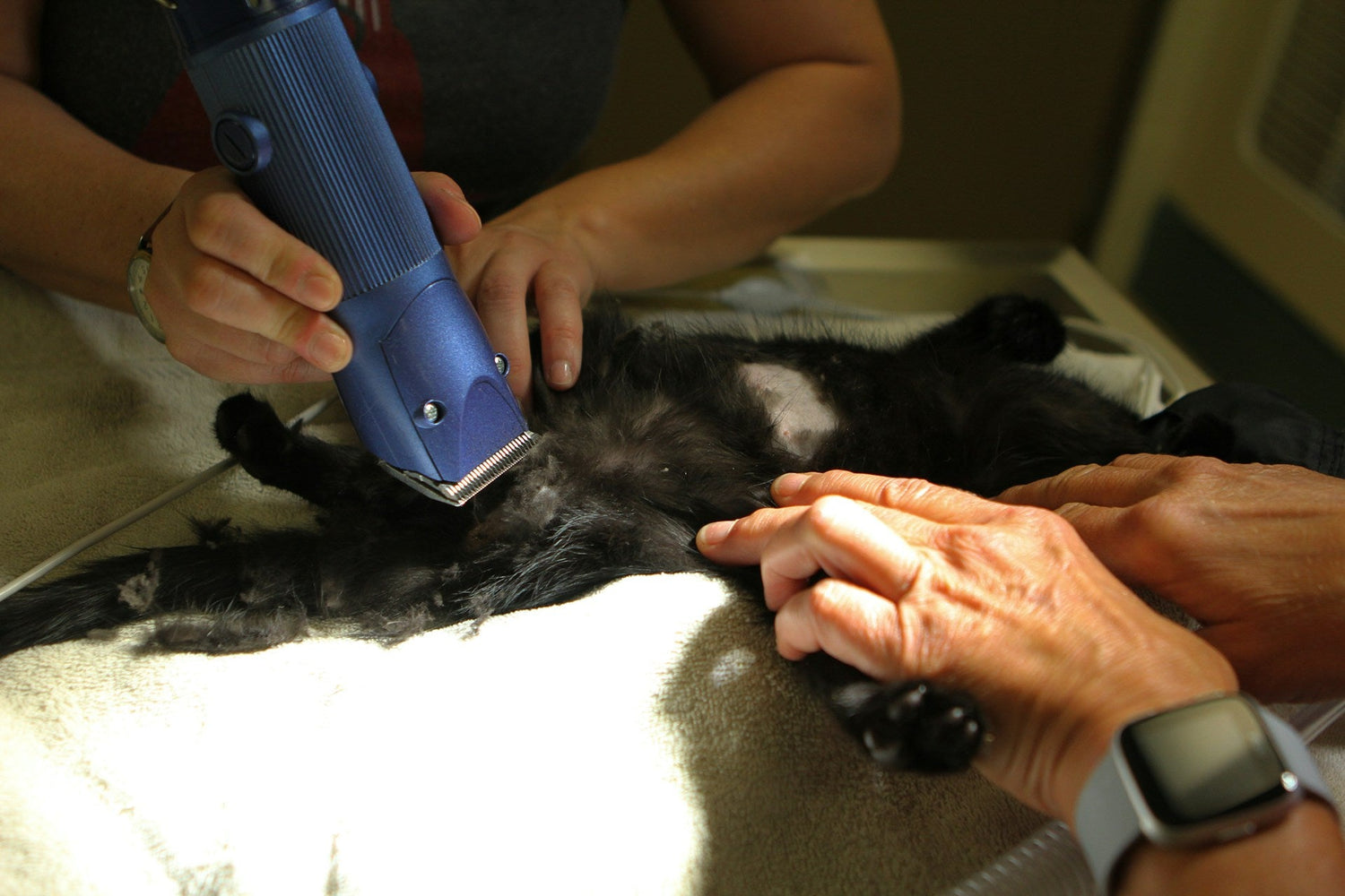 Hair Removers
