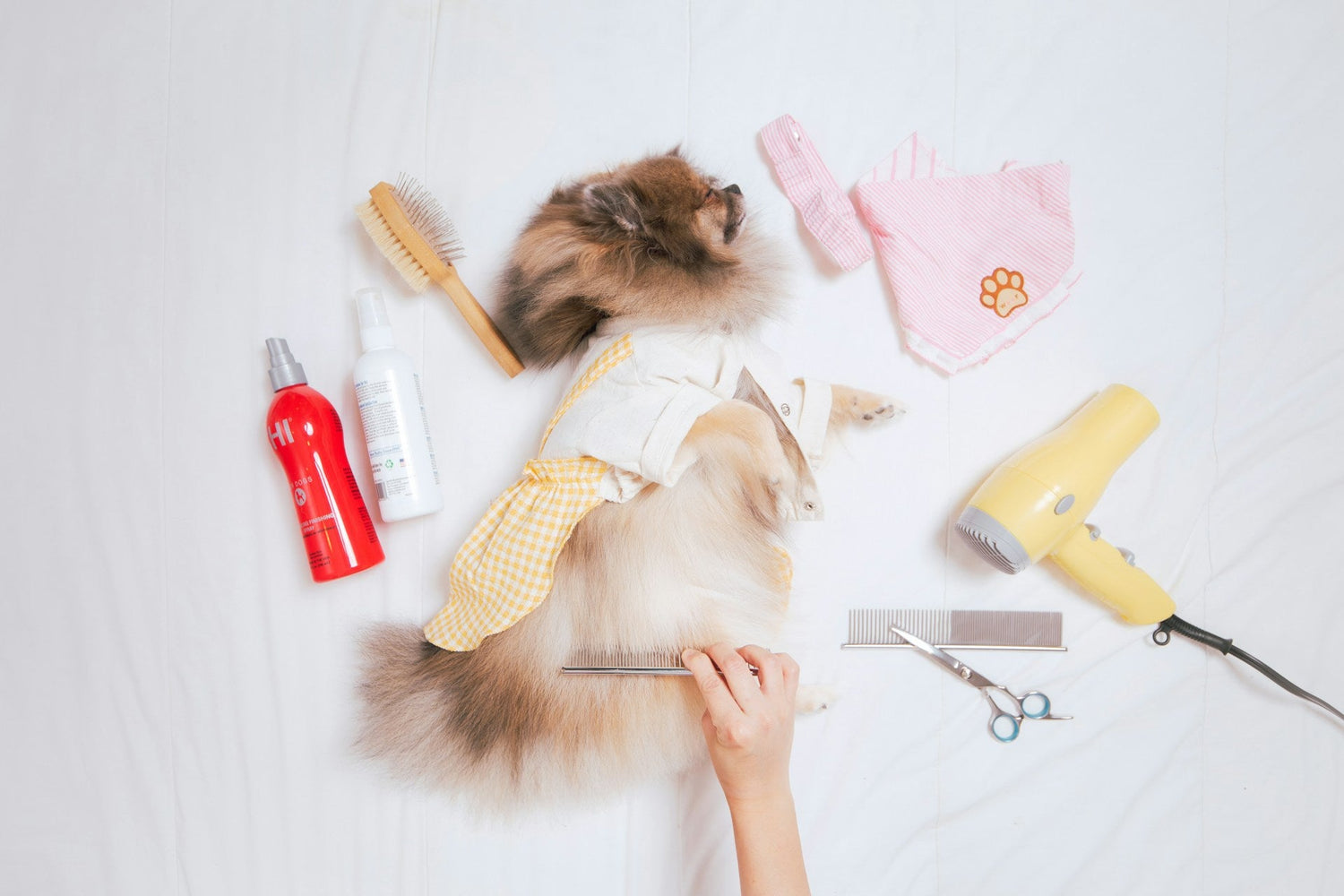 Brushes & Combs