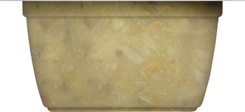 Nutrish Rachael Ray Grain Free Wet Cat Food Ocean Fish & Chicken Catch-iatore, 2.8 oz. Cup, 24 Count