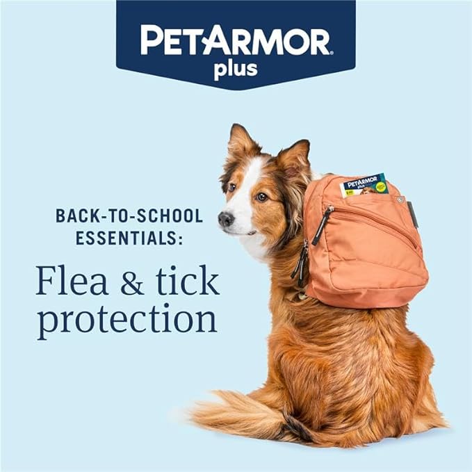 PetArmor Plus Flea and Tick Prevention for Dogs, Dog Flea and Tick Treatment, 6 Doses, Waterproof Topical, Fast Acting, Medium Dogs (23-44 lbs)