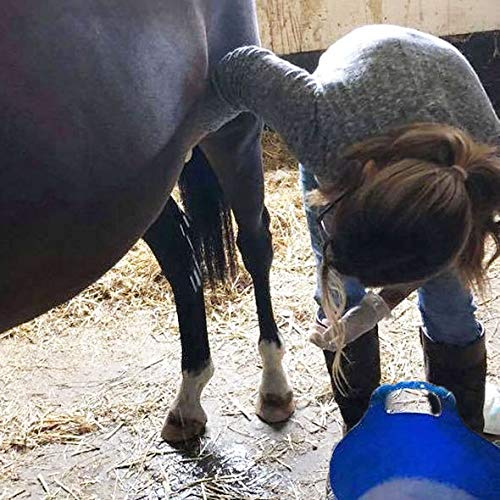 Sit Stay Forever Organic Neem & Hemp Sheath and Udder Cleaner, 7 oz bar.