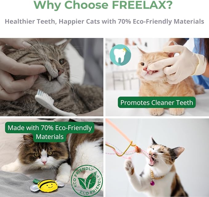 Eco-Friendly Cat Gift Box – 7-Piece Set with Organic Catnip Toys, Feather Wand, Blanket & Pop-Up Cat Cave for Indoor Cats and Kittens