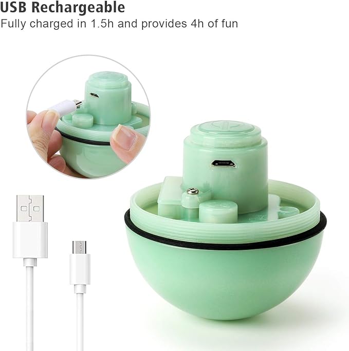 WWVVPET Interactive Cat Toy With LED Light, 360 Degree Self Auto Rotating Smart Ball, USB Rechargeable Spinning Toy, Stimulate Hunting Instinct for Kittens, Funny Chaser Roller Pet Toy