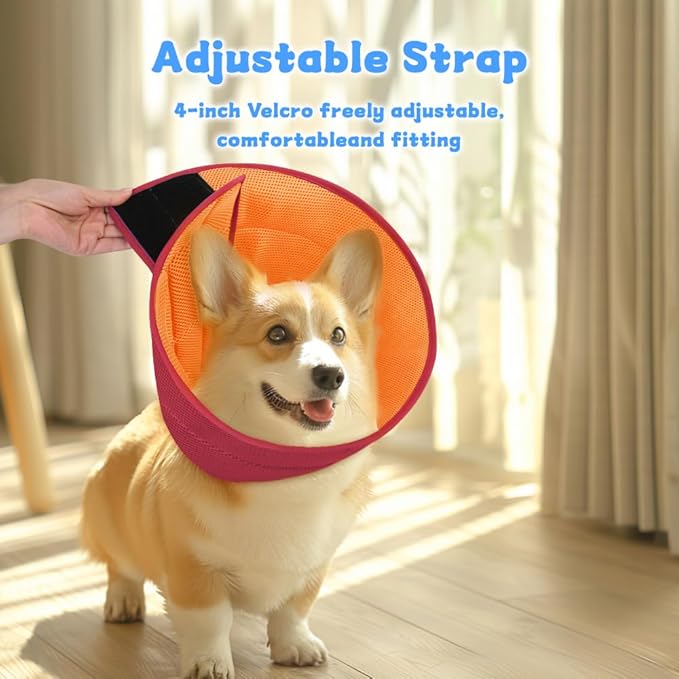 Inspack Soft Dog Cone Collar Alternative, E Cones for Medium Small Dogs/Cat to Stop Licking After Surgery, Neuter Recovery Ecollars of Shame Alternatives, Comfortable Paws Comfy Elizabethan Collars
