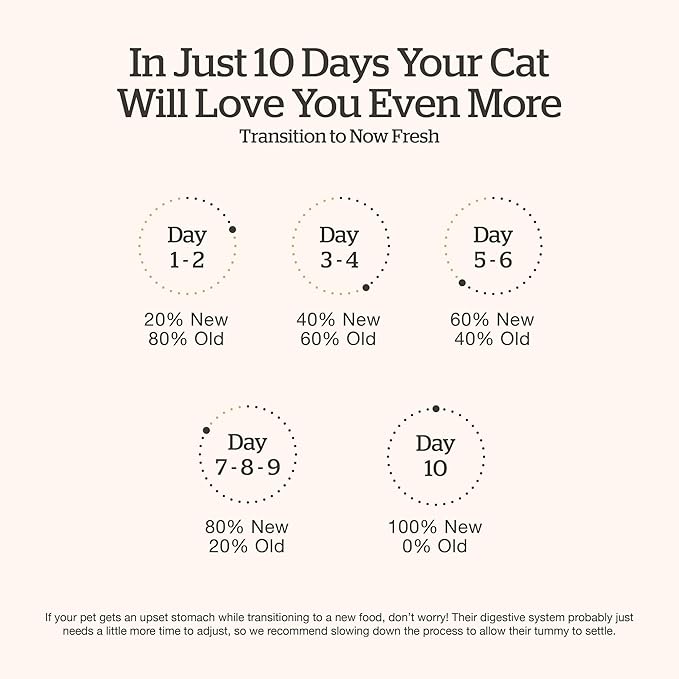 Now Fresh Grain-Free Senior Dry Cat Food with Turkey, Salmon & Duck, Premium Kibble Made with Real Meat & Fish, Chicken-Free Recipe, Supports Healthy Weight Management, 8 lb Bag