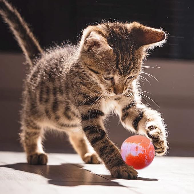 PET SHOW 20Pcs 1.2 Inch Cat Toy Bouncy Balls Interactive Kitten Bouncing Ball for Indoor Cats Pet Birthday Gift Colorful Chase Rubber Ball with High Elasticity Boys