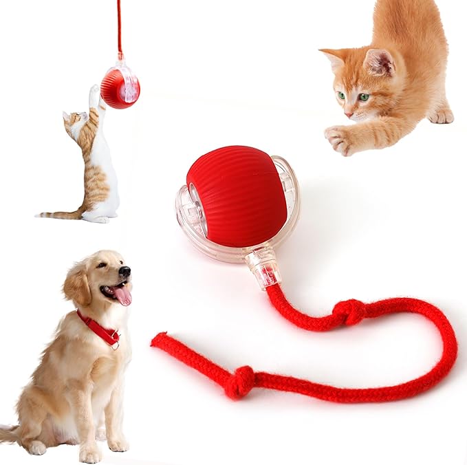 Interactive Cat Toys for Indoor Cats, 360° Smart Automatic Kitten Toys Self Rolling Pet Ball, Moving Dog Cat Ball with Mesh Tail for Bored, USB Rechargeable (Red)