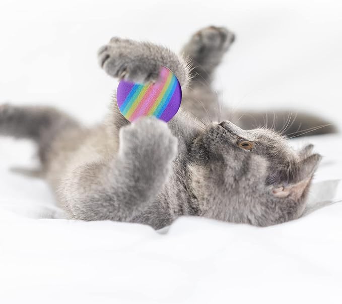 BLMHTWO 12PCS Rainbow Cat Toys, EVA Foam Balls 1.65inch Lightweight Colorful Interactive Pet Balls for Cats, Kittens, Puppy (6 Colors)
