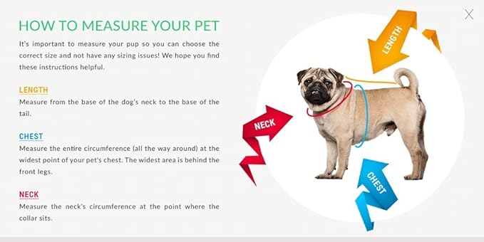 Pets First Collegiate AUBURN TIGERS Dog T-Shirt, Small. - Licensed Shirt for Pets Team Colored with Team Logos.- Premium Stretchable Materials for the Comfrot of your Dog & Cat.